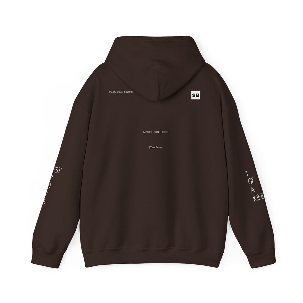 Minimalistisk 'SB' hættetrøje — Lille grafik på bryst og ryg, rent streetwear-pulloverdesign